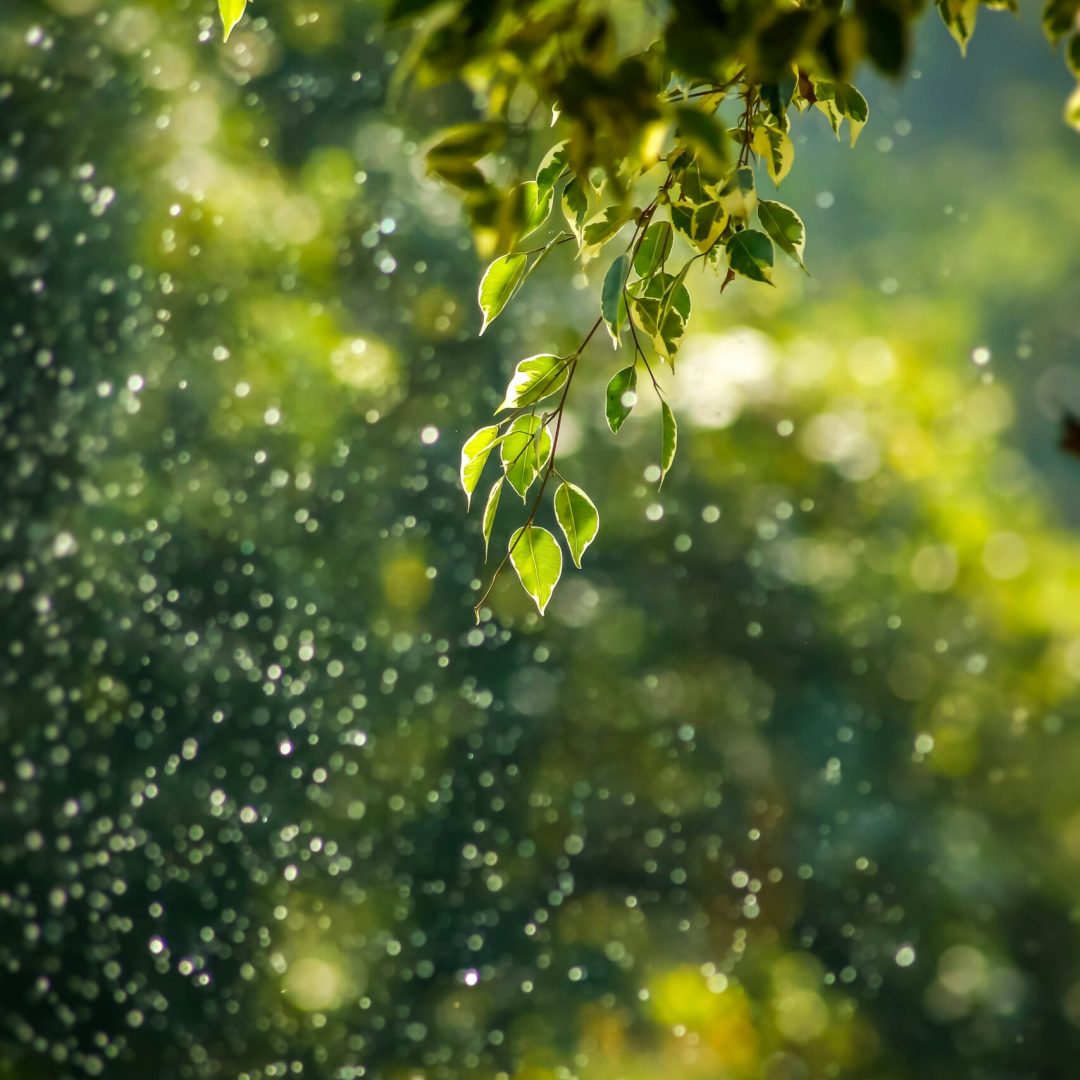 Maji Group Italia - Foto Natura Acqua Plastica Ambiente